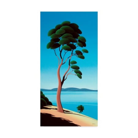 Ron Parker 'Island Arbutus' Canvas Art,16x32